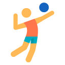 Volleyball Cursors